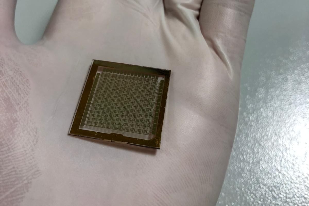A test die lying flat in an open gloved hand, its size clear against the fingers.